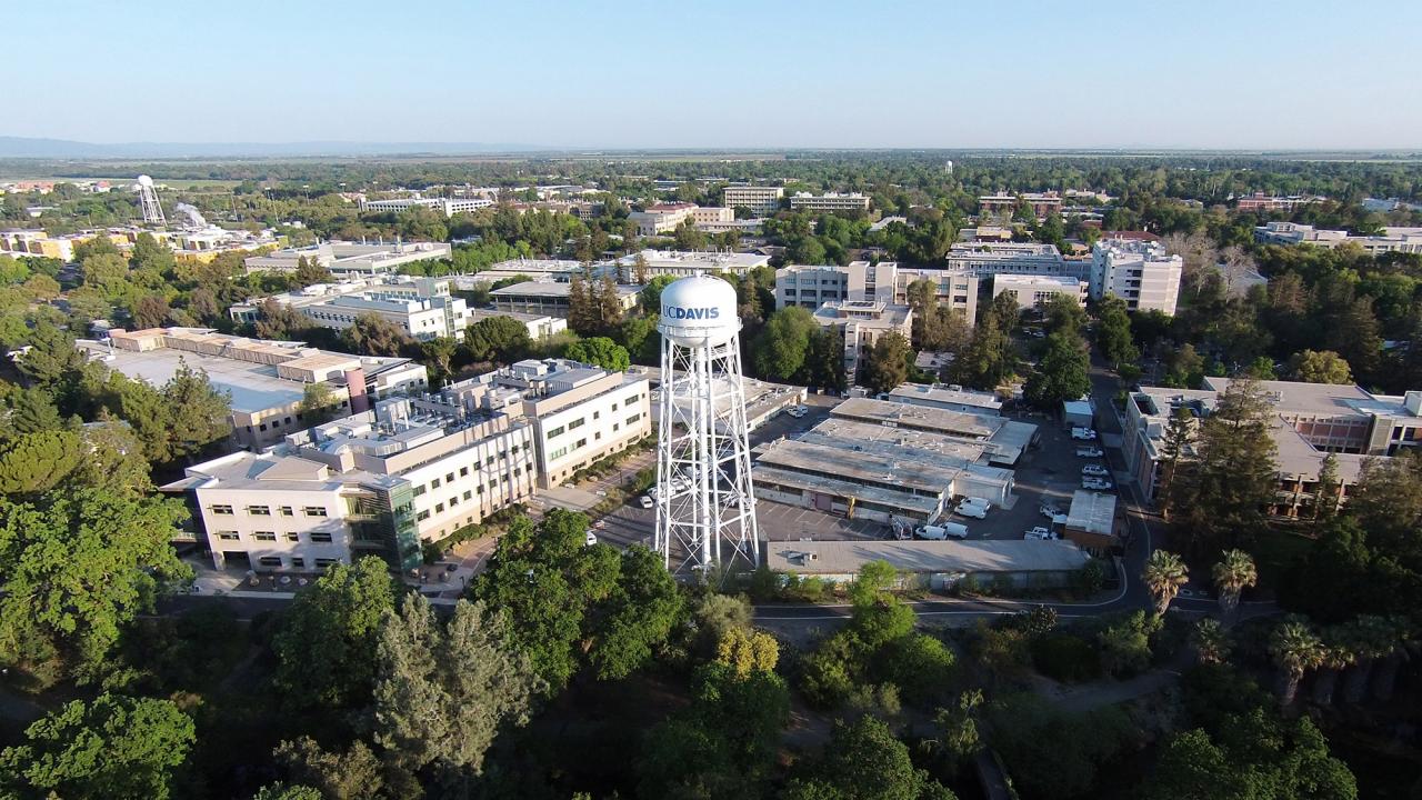 uc davis endowment