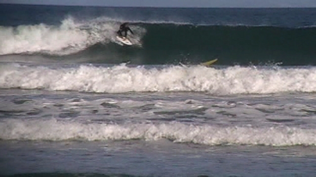 surf report tas