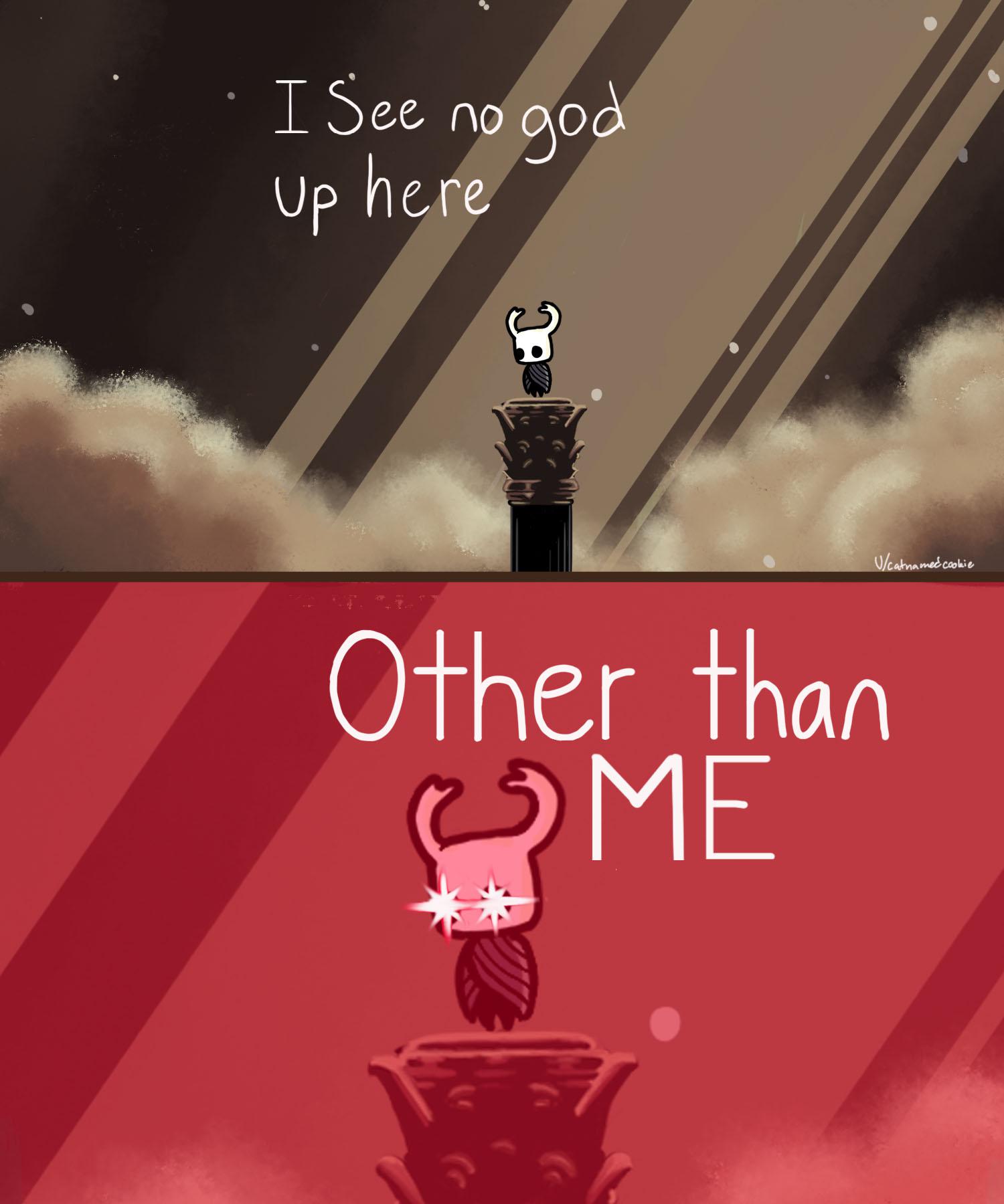 hollow knight memes