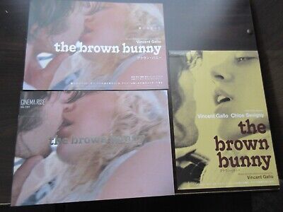 chloe sevigny the brown bunny