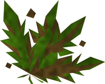 ranarr weed osrs