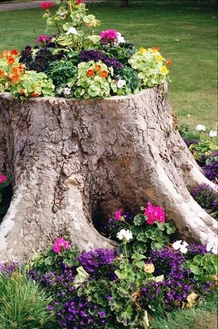 tree stump ideas pinterest