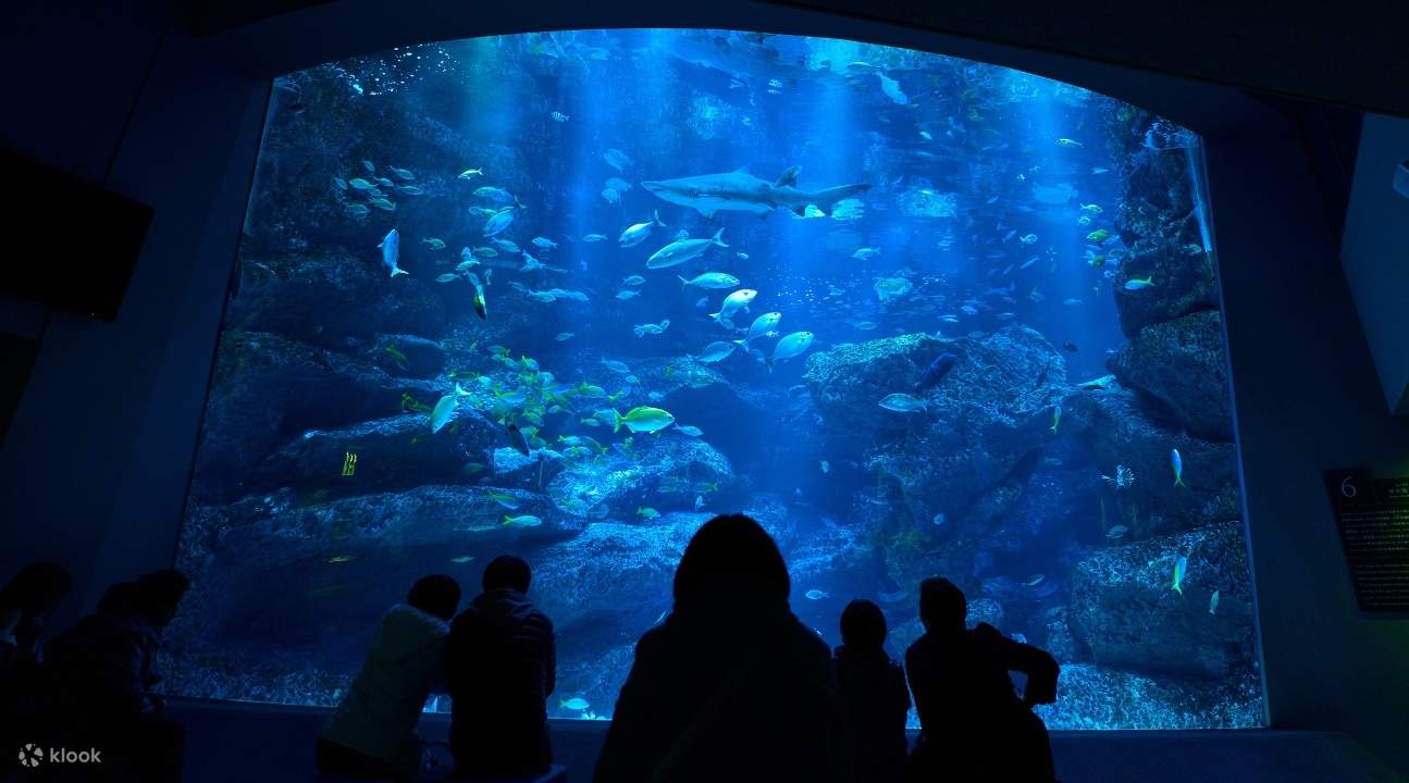 sumida aquarium ticket price