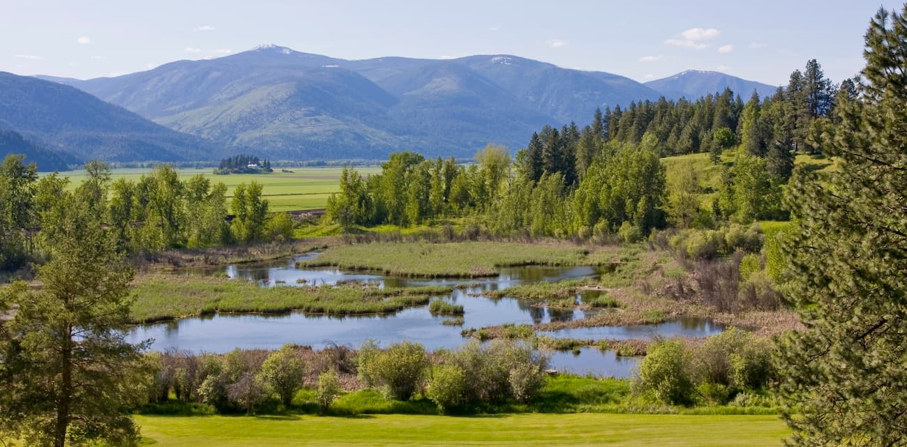 idaho panhandle national forest