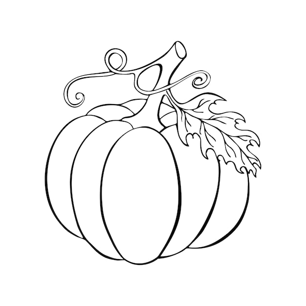 black and white clipart pumpkin