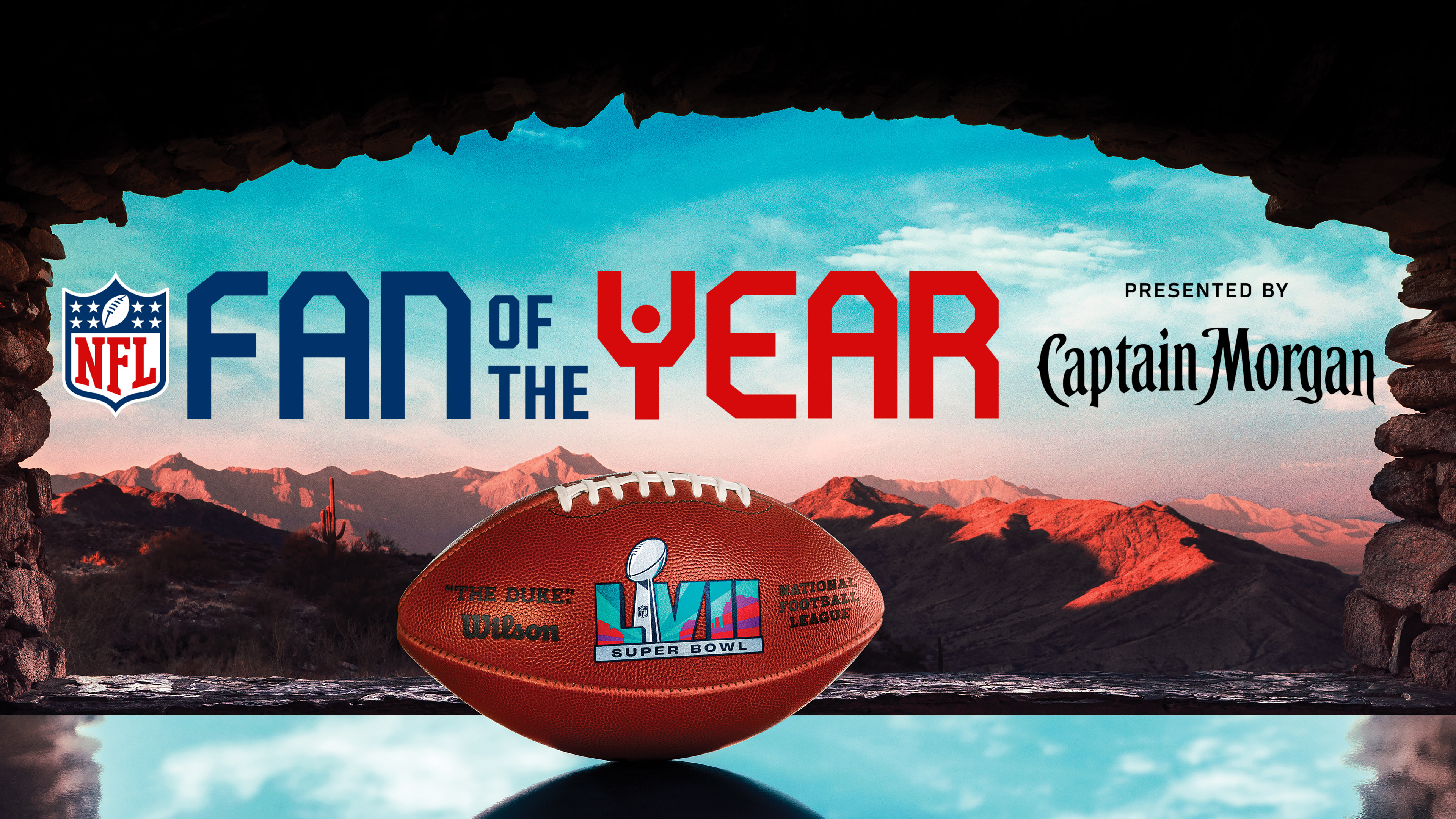 nfl fan of the year contest