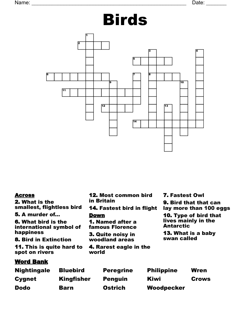 common bird crossword