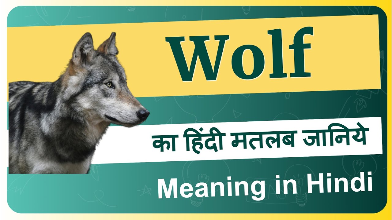 wolf in hindi meaning