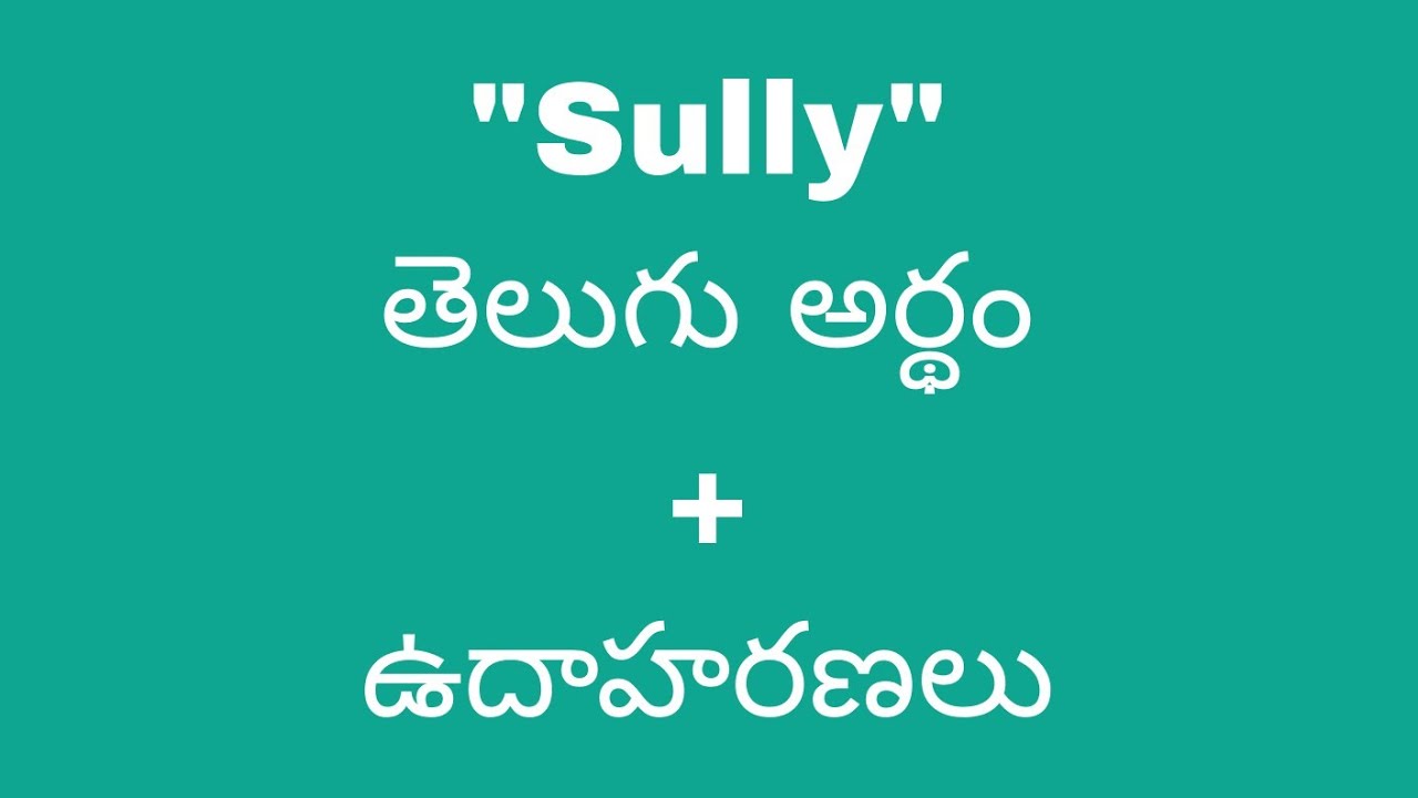 sully meaning in telugu