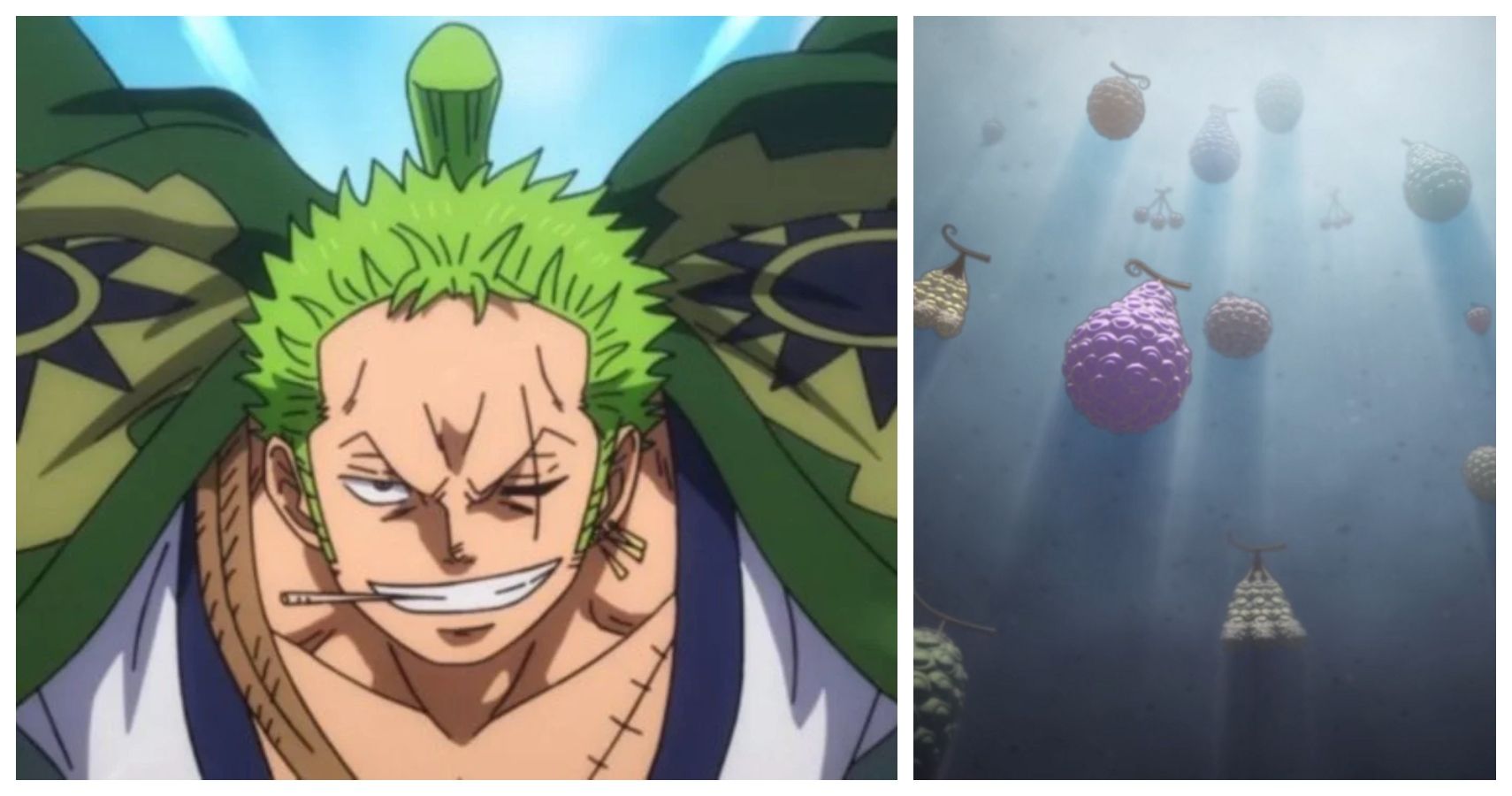 did zoro eat a devil fruit