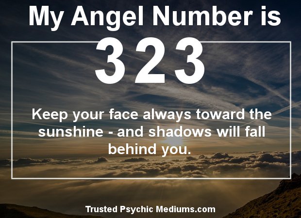 323 angel number