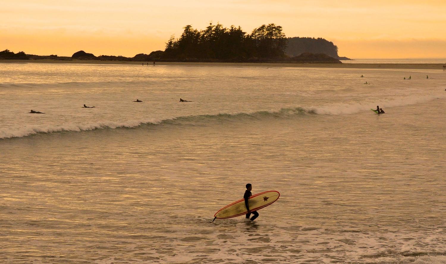 wave forecast tofino