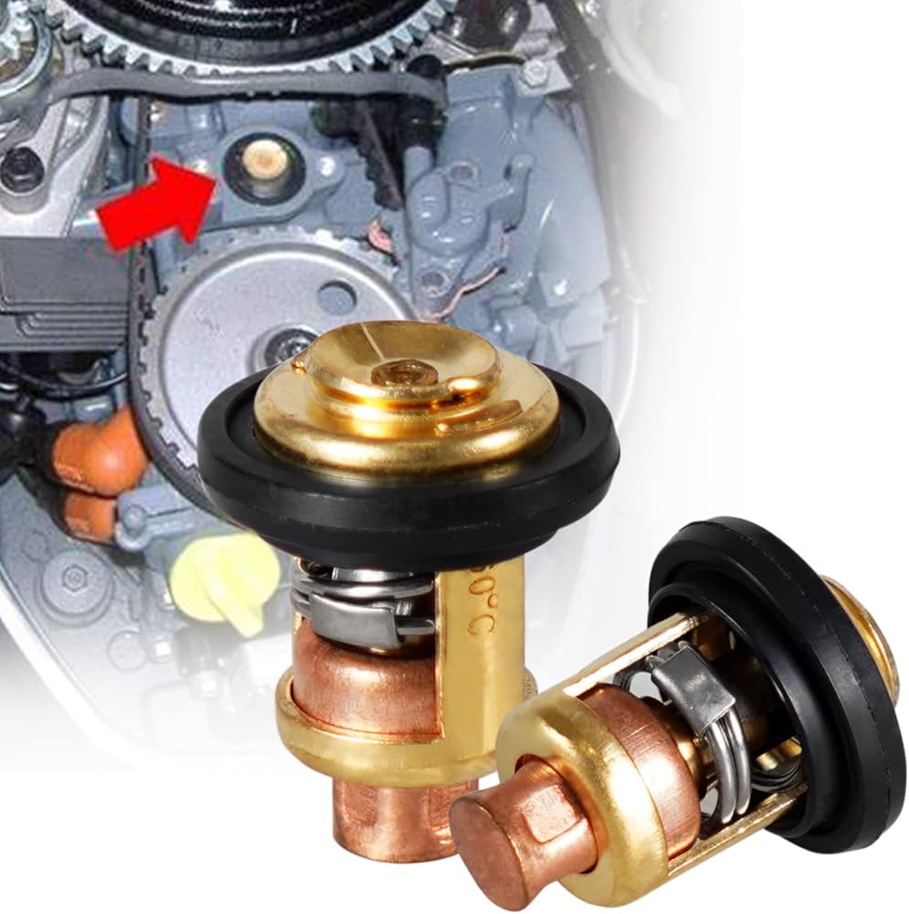 outboard motor thermostat