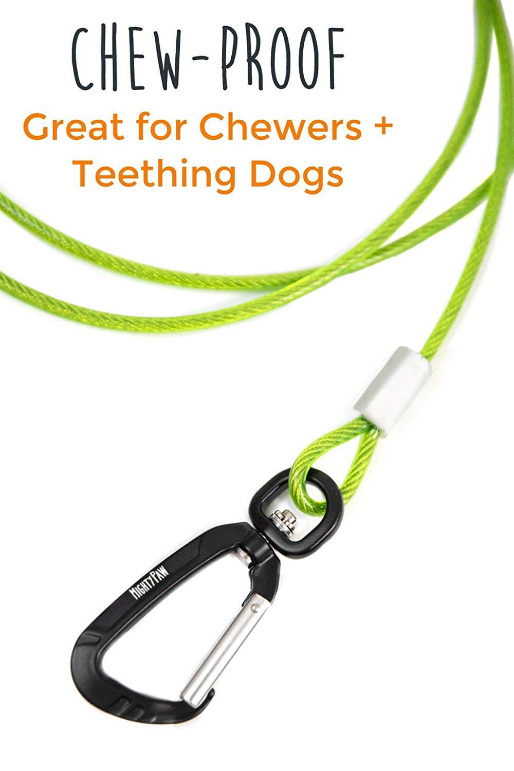 chew proof dog leash