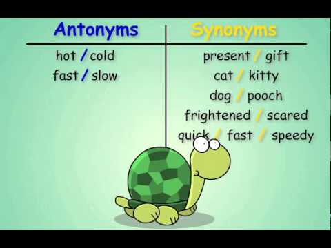 what is an antonym