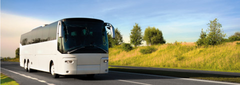 autobuses conil el palmar