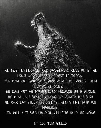 lone wolf quotes