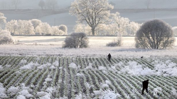 weather for perthshire