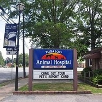 vet in lavonia ga