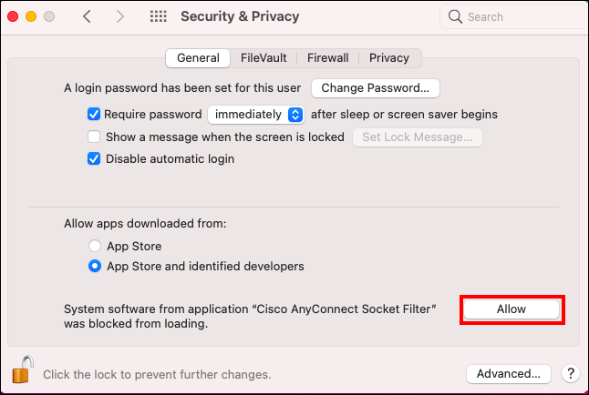 cisco anyconnect socket filter