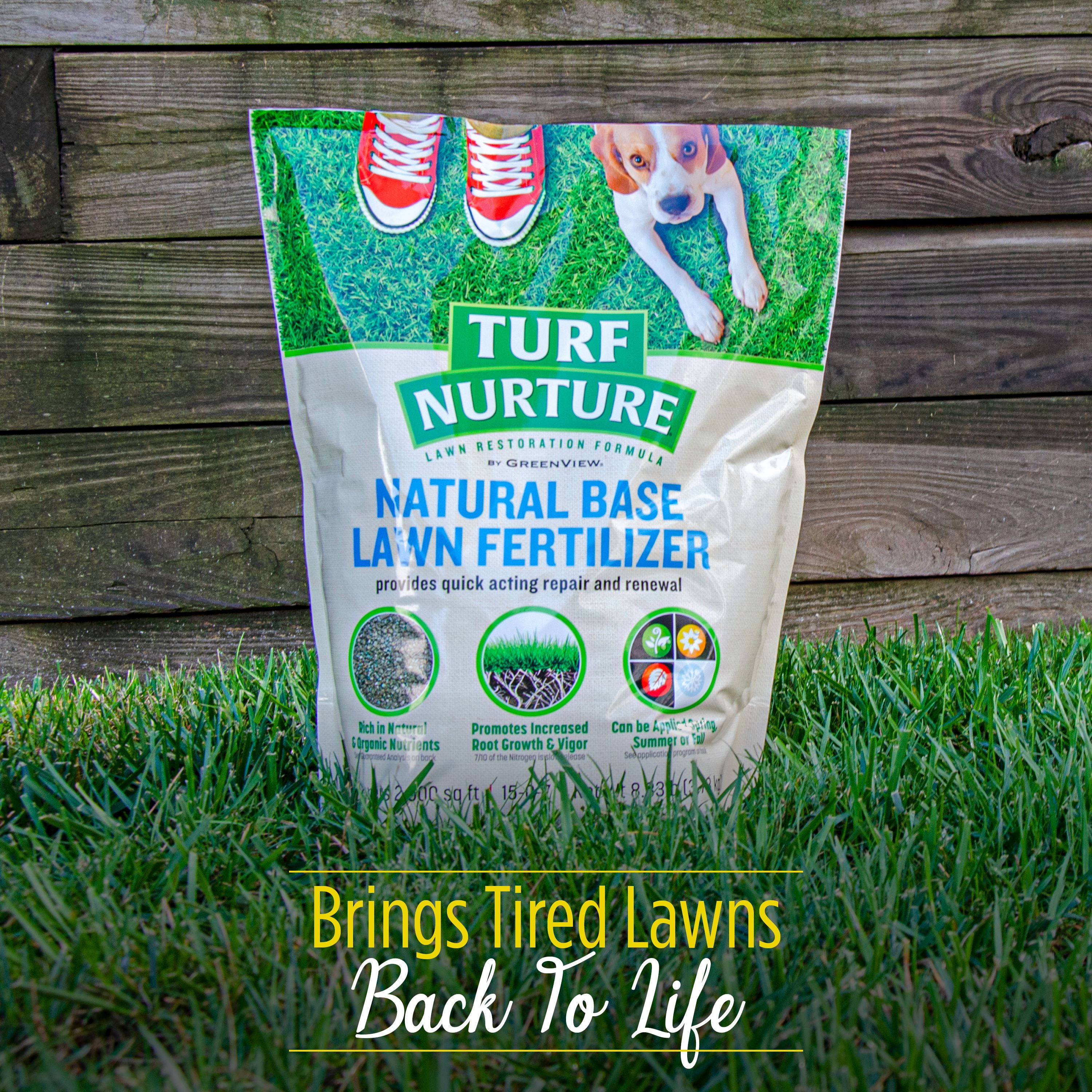 grass fertilizer walmart