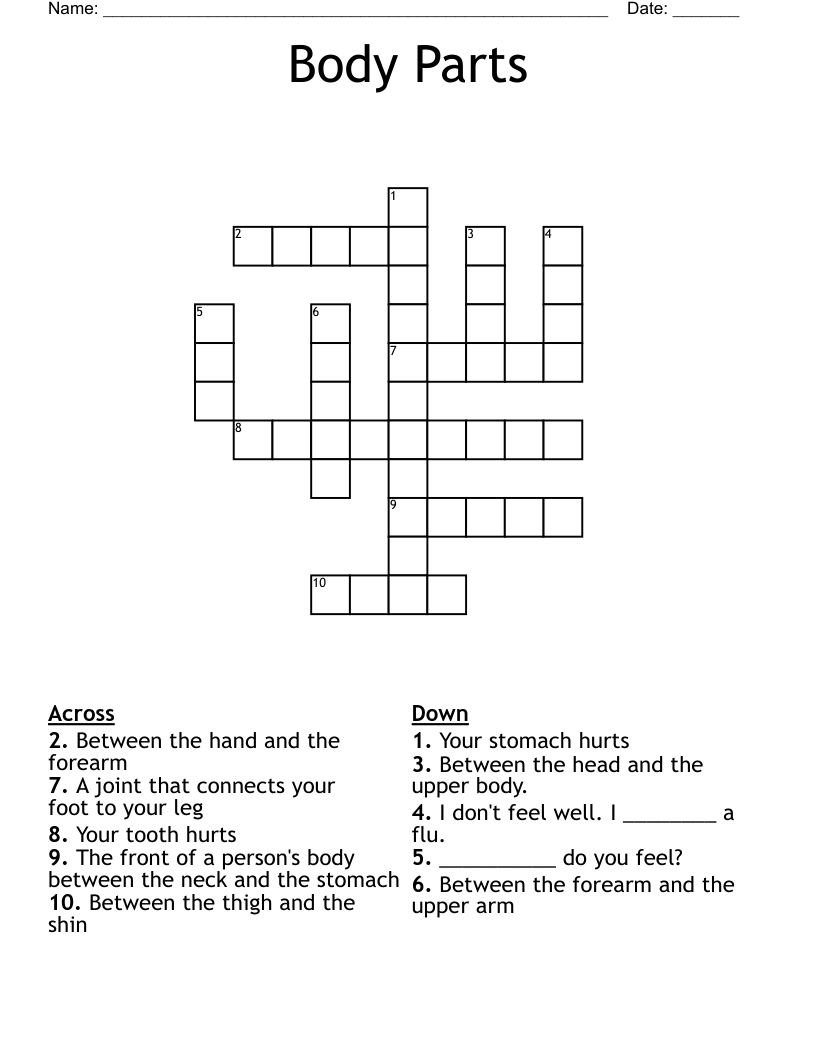 body part tree crossword clue