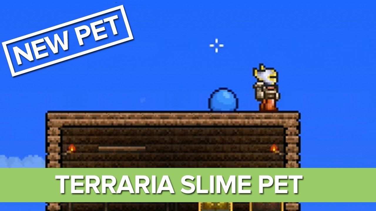 petri dish terraria