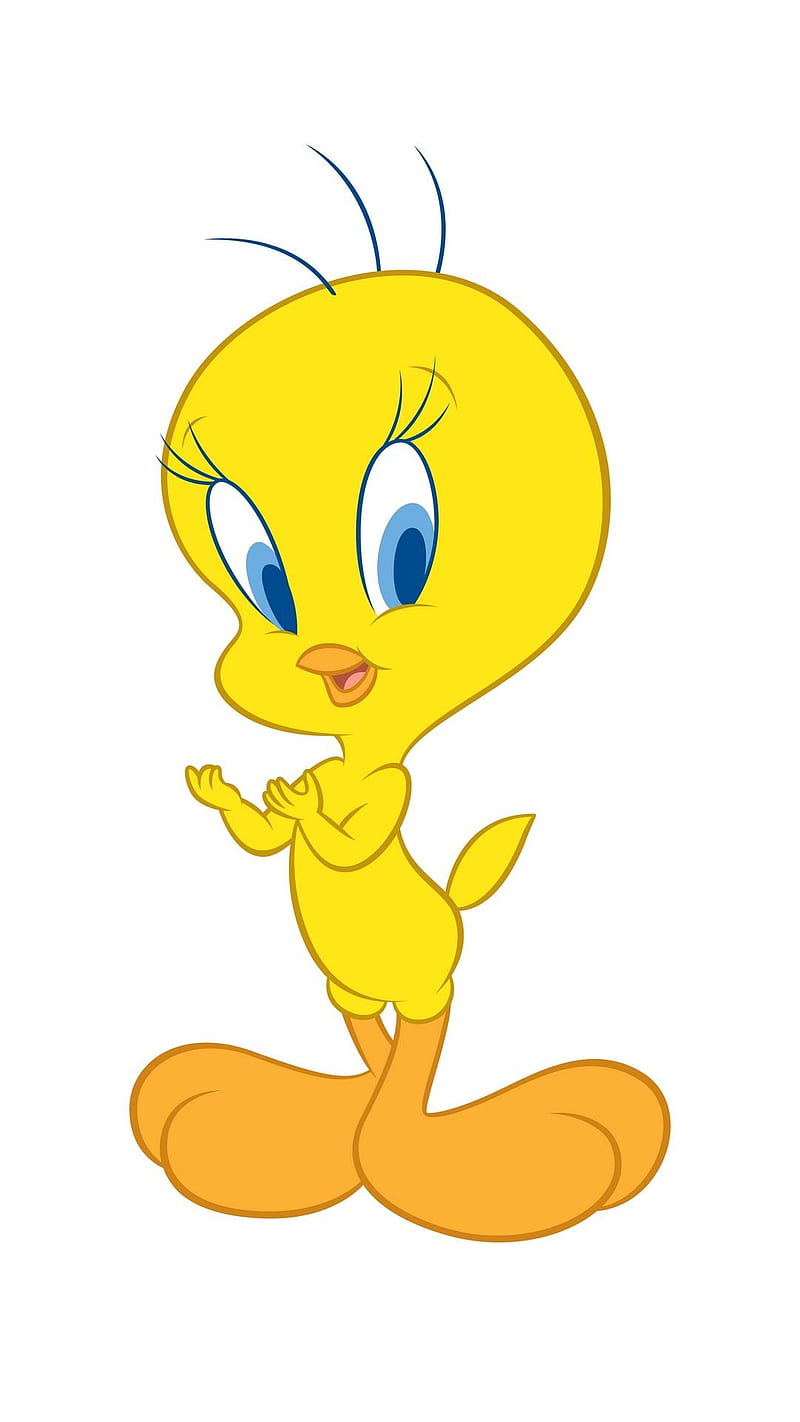 cartoon characters tweety bird