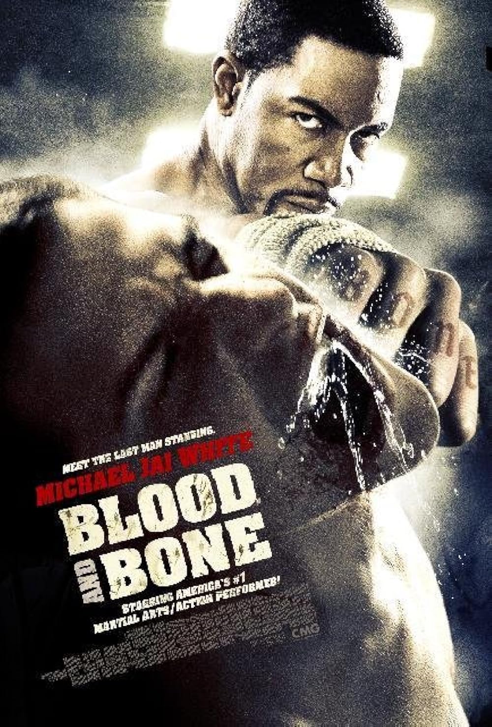 blood and bone 2009 full movie