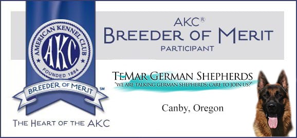 akc breeders