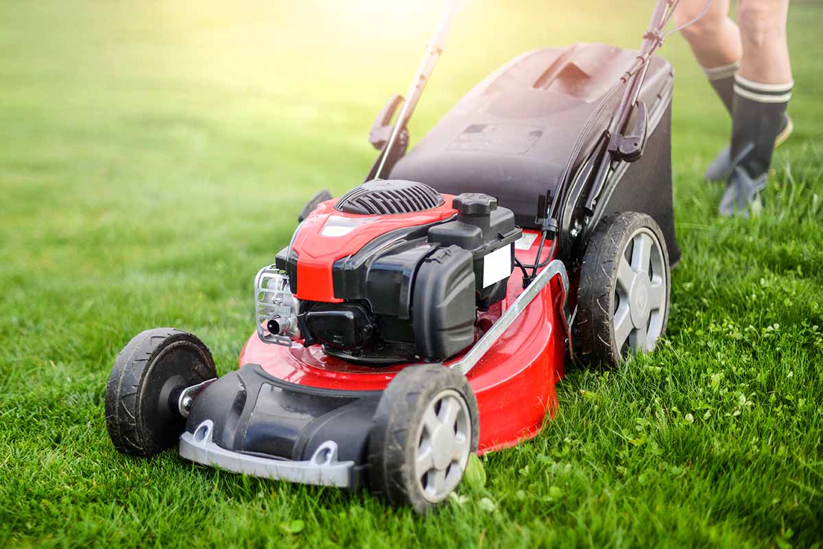 best gas lawn mower 2023