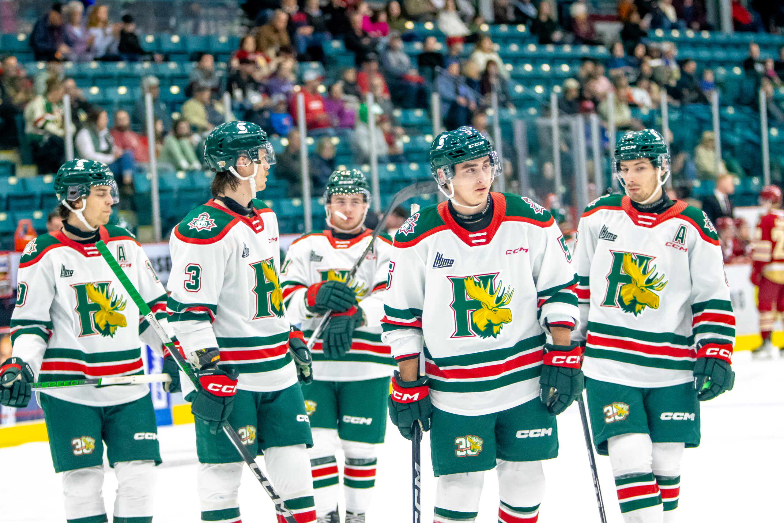 mooseheads score live