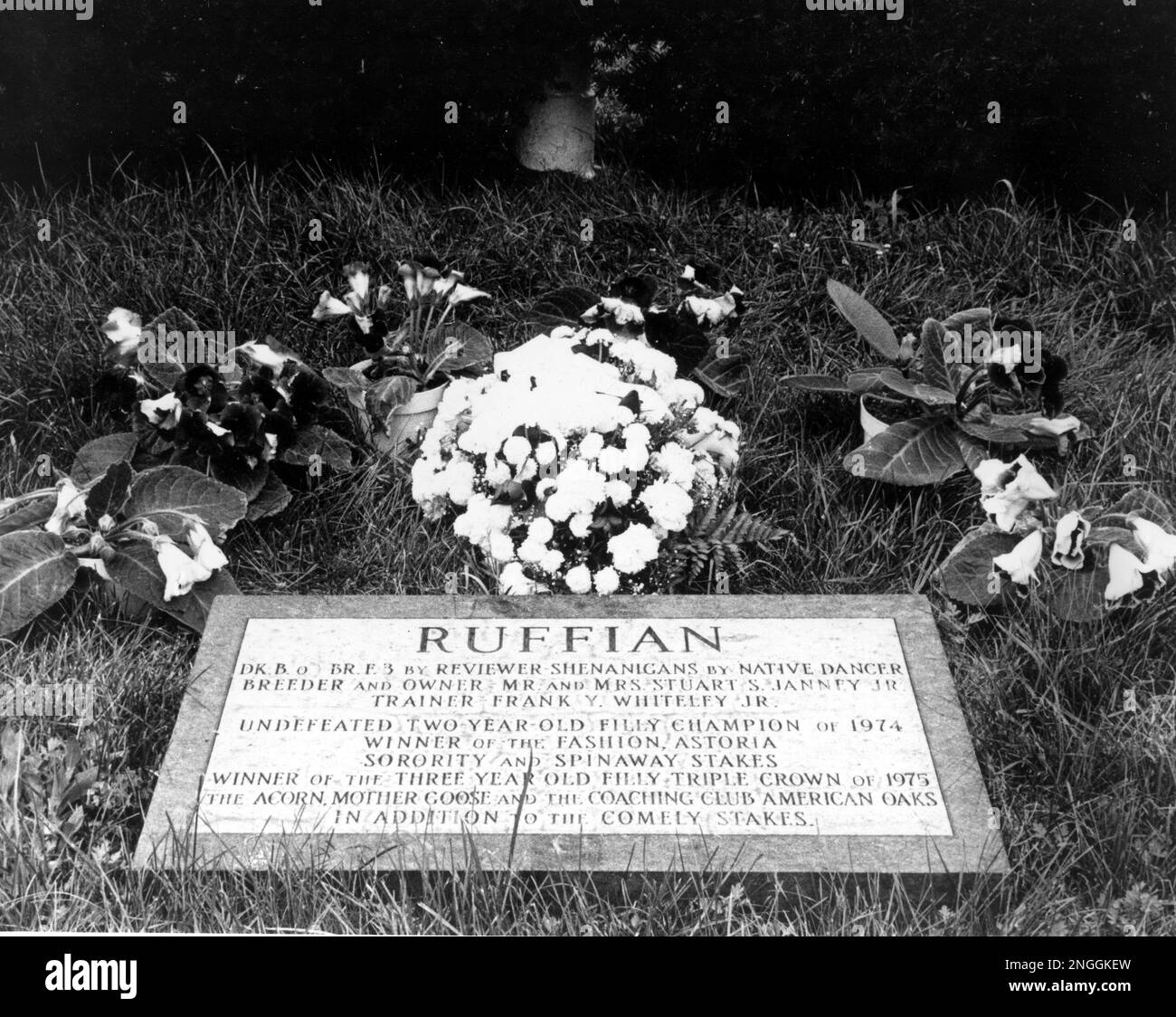 ruffian grave