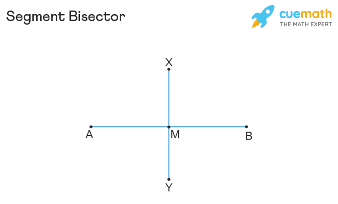 what is a segment bisector in geometry