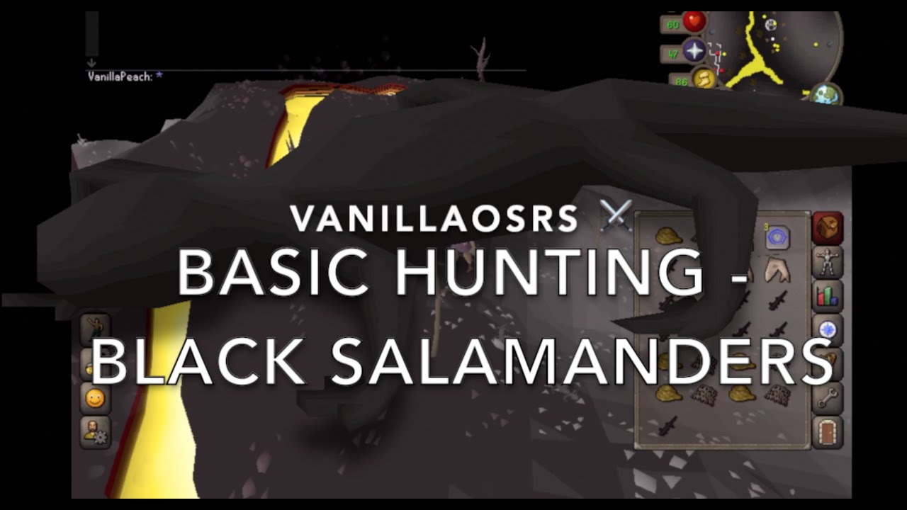 osrs black salamanders