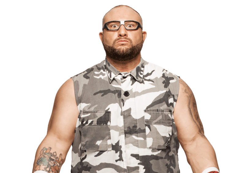 bully ray