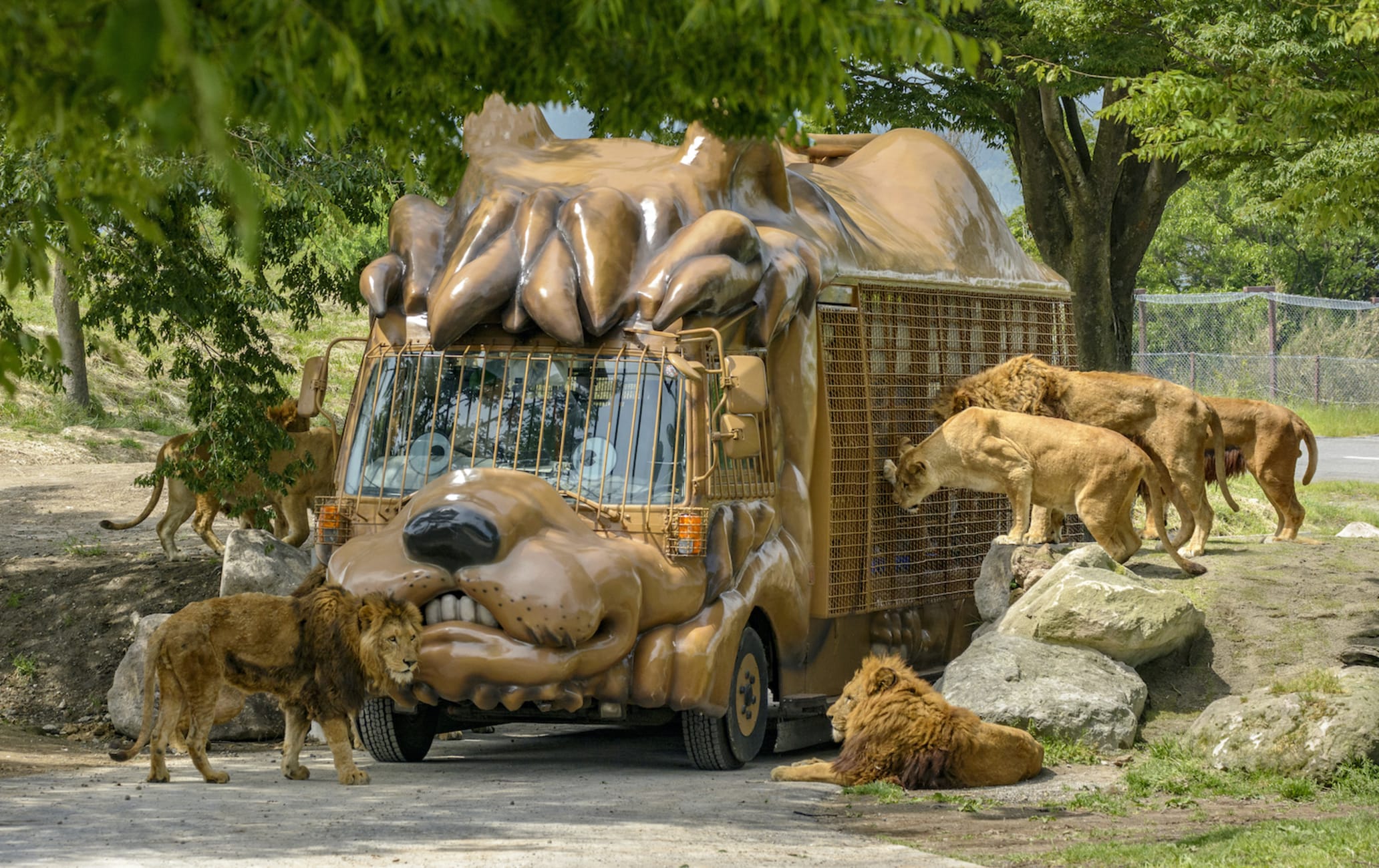 africano zoo