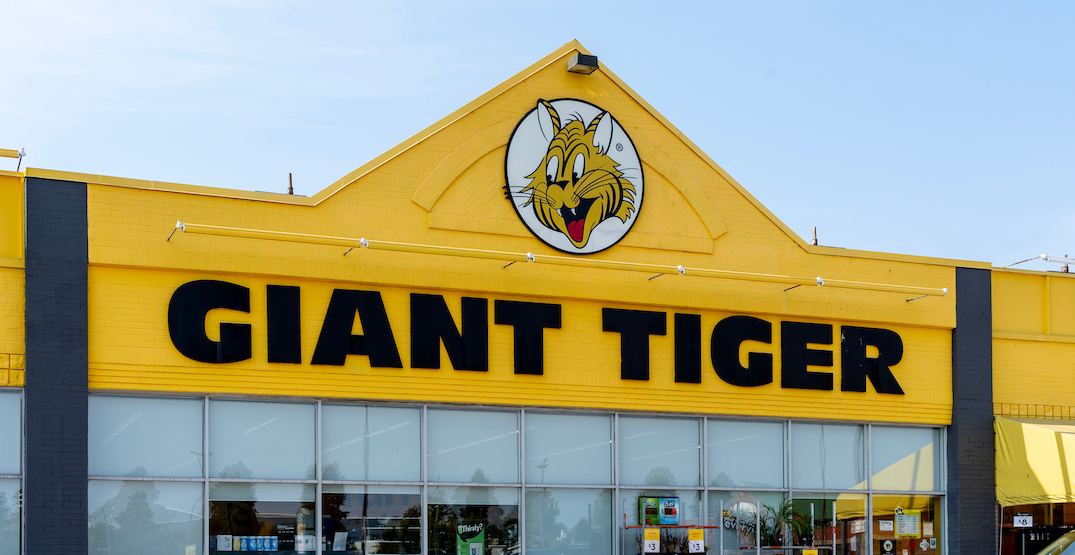 giant tiger edmonton