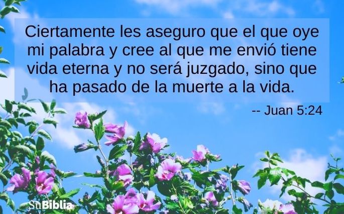 esperanza frases de la biblia