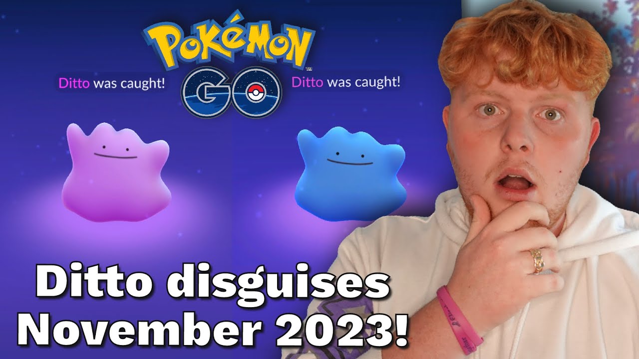 ditto november 2023