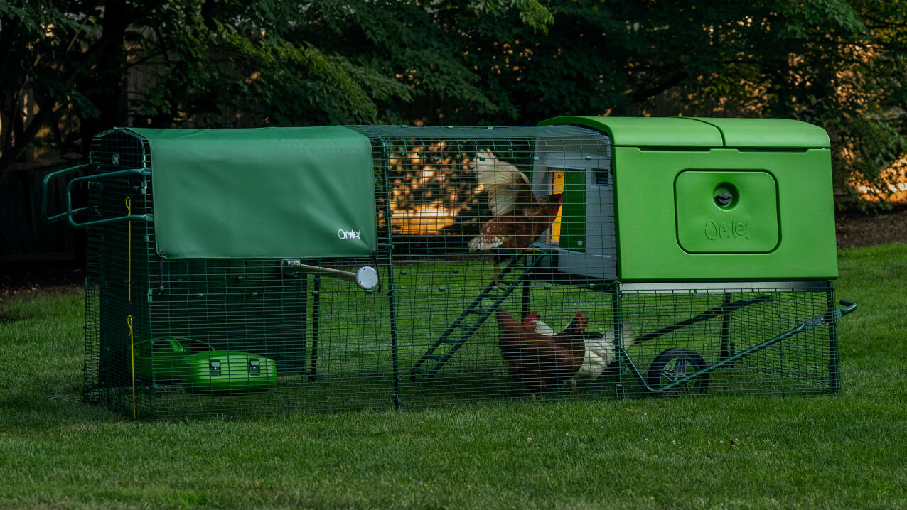 eglu cube chicken coop