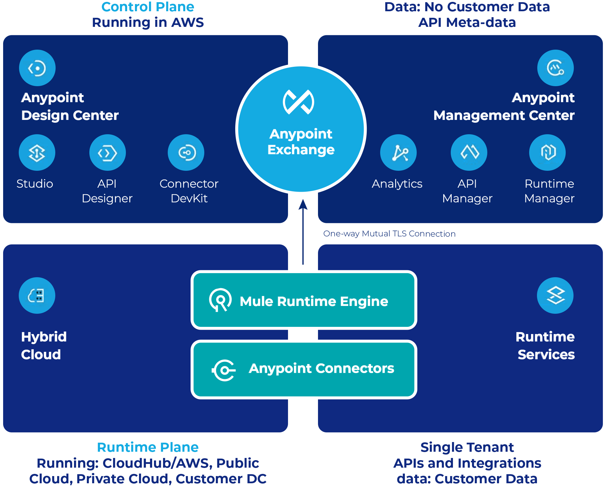 anypoint platform