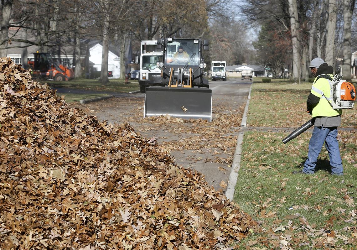 toledo leaf pickup