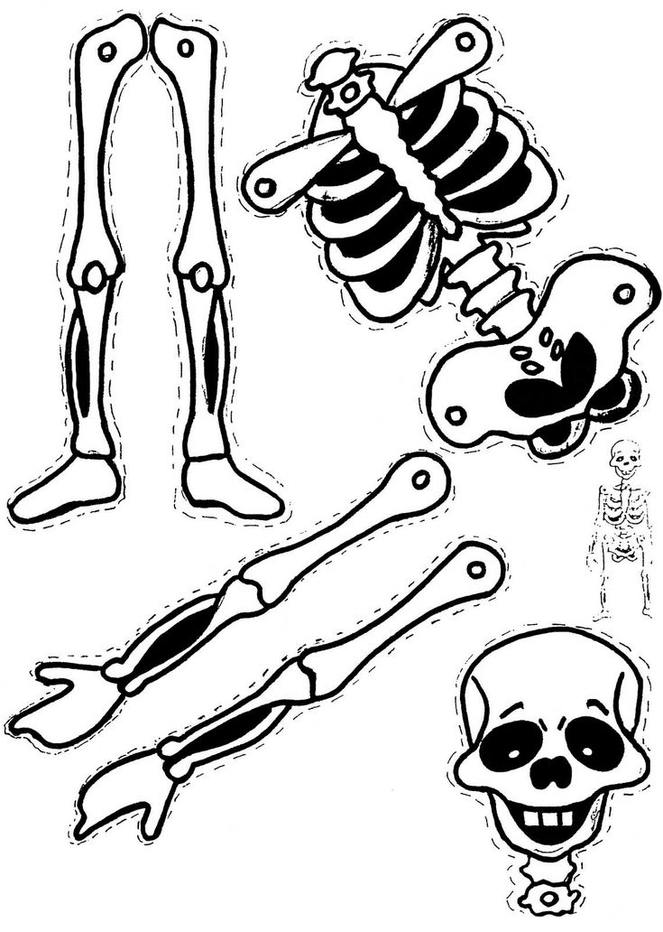 calaveras dibujos cuerpo completo