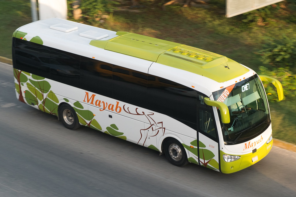 mayab bus