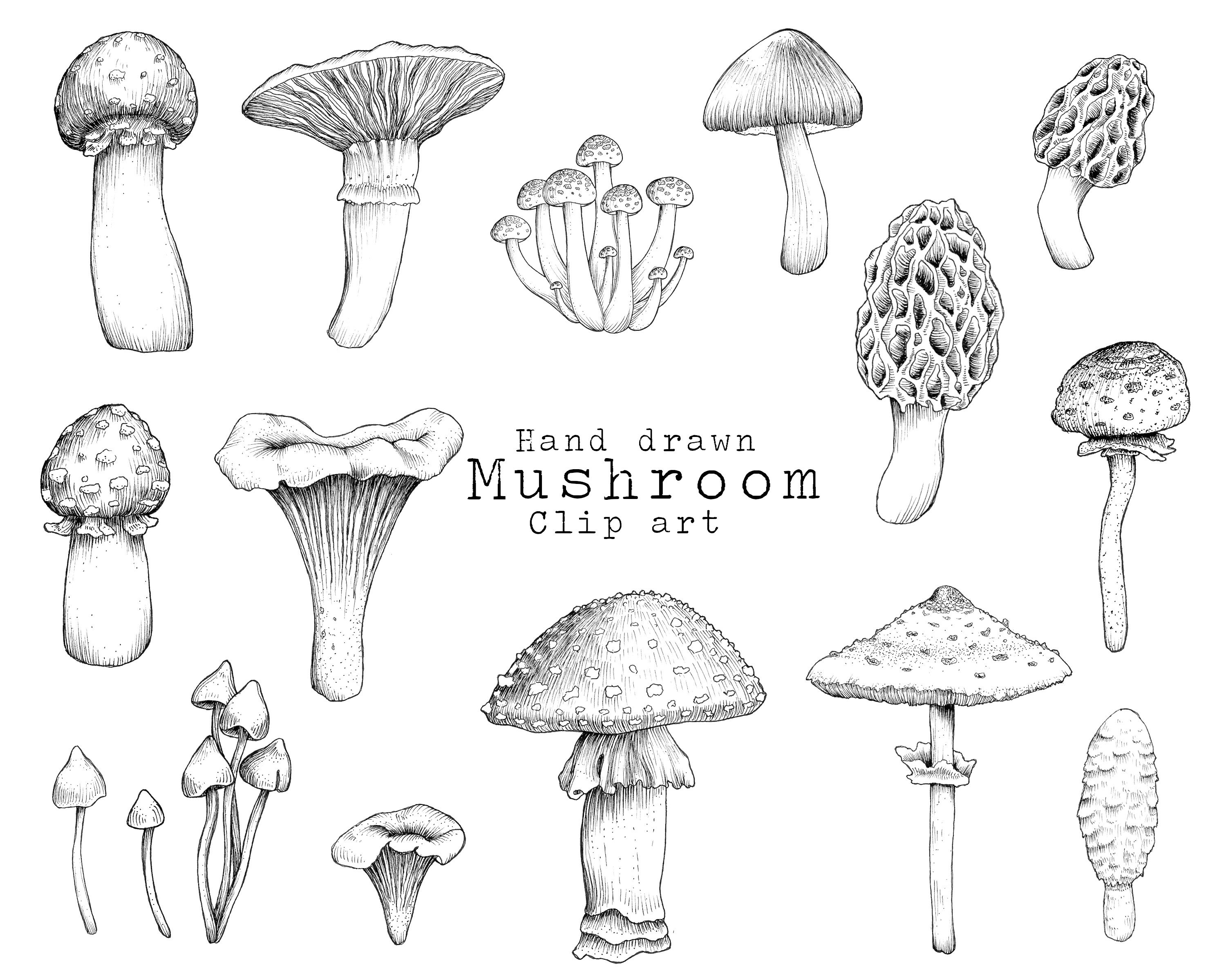 mushroom clip art