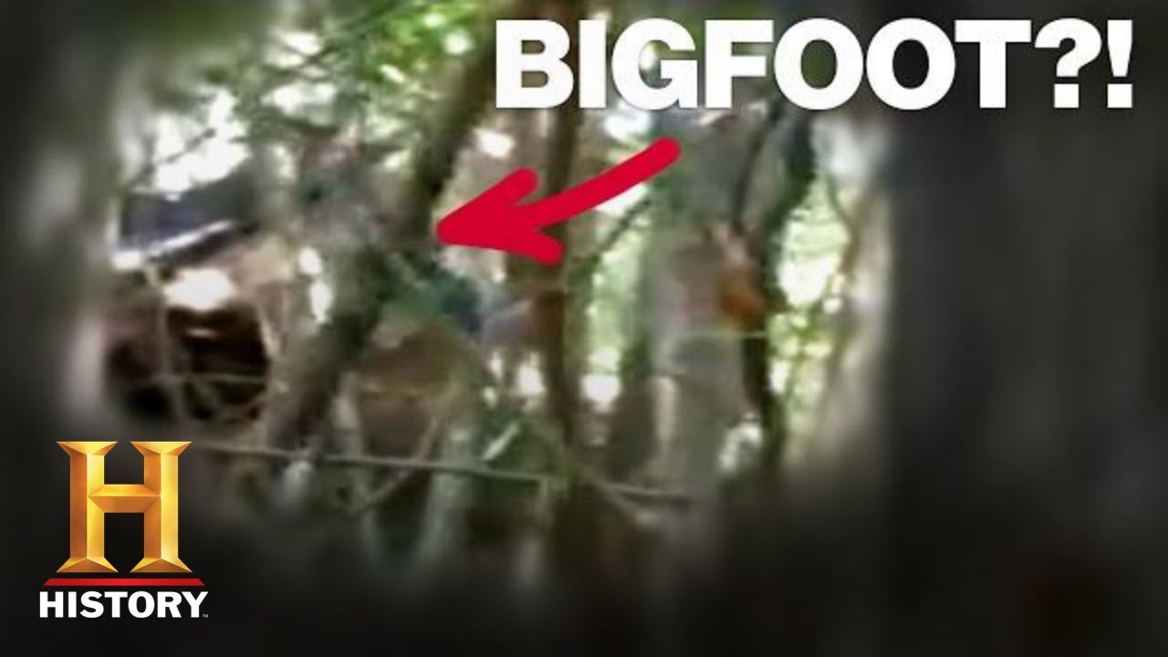 youtube bigfoot