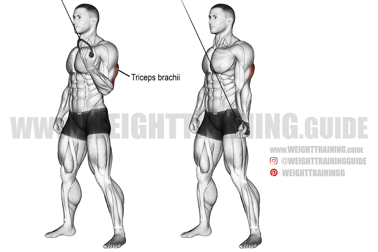 single arm rope tricep extension