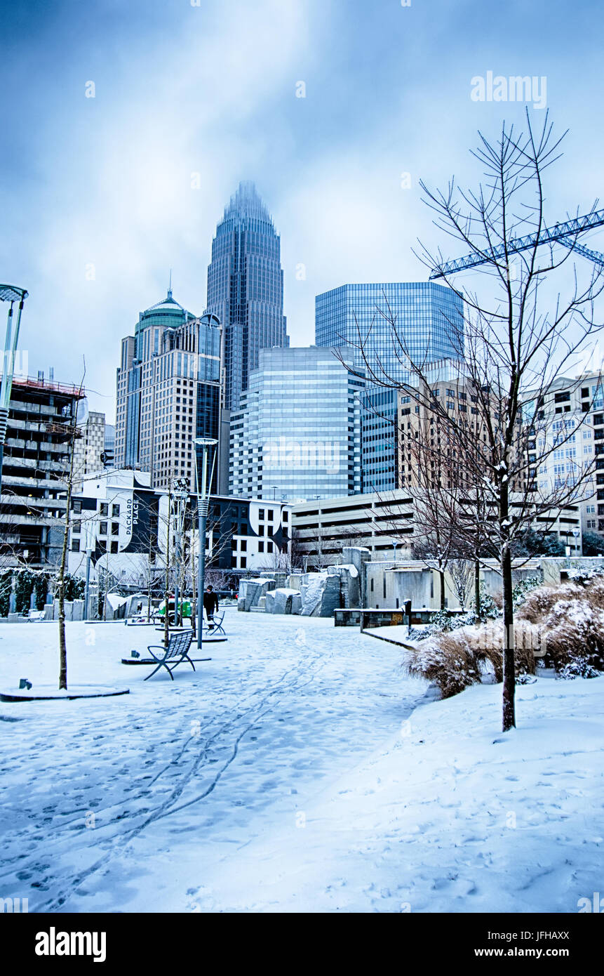 charlotte nc yearly weather