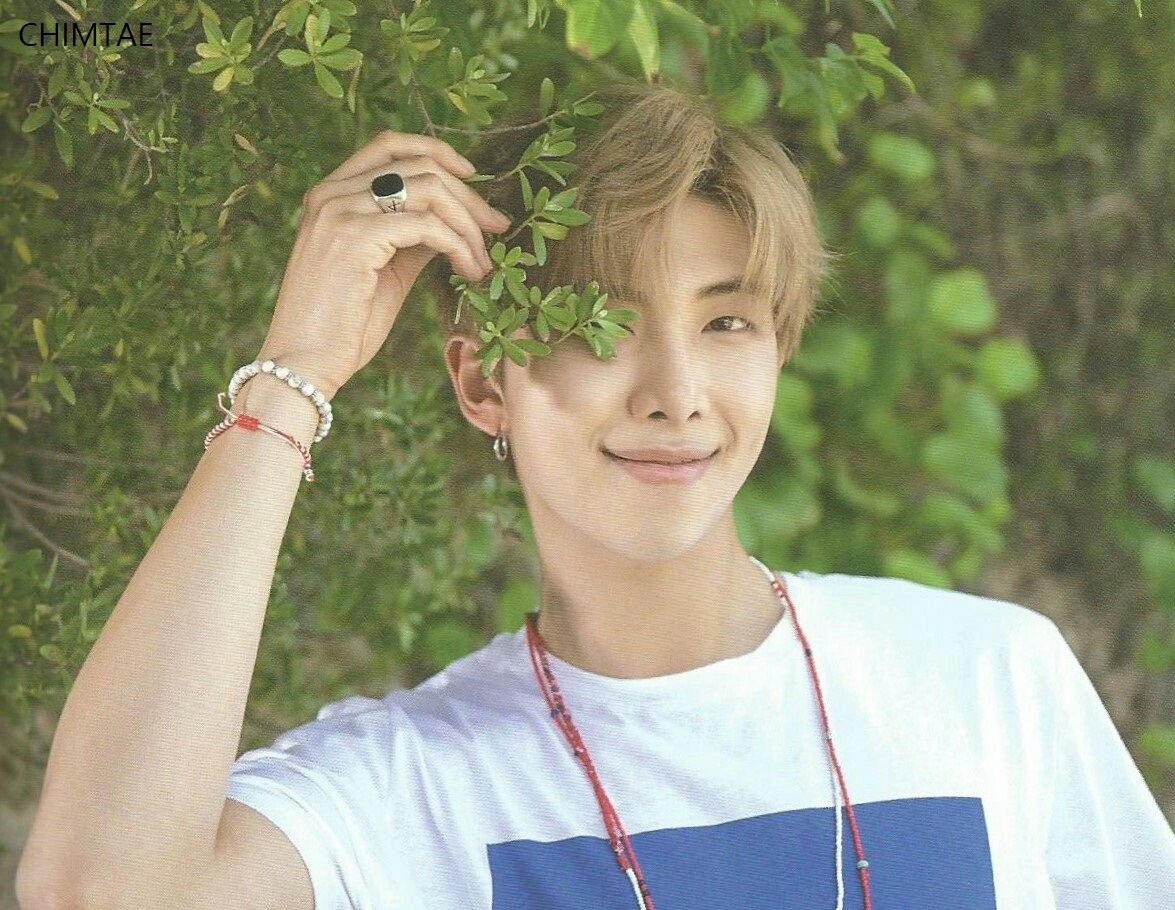 bts summer package 2018 rm